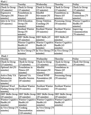 Massed treatment of posttraumatic stress disorder, traumatic brain injury, and co-occurring conditions: the Home Base intensive outpatient program for military veterans and service members